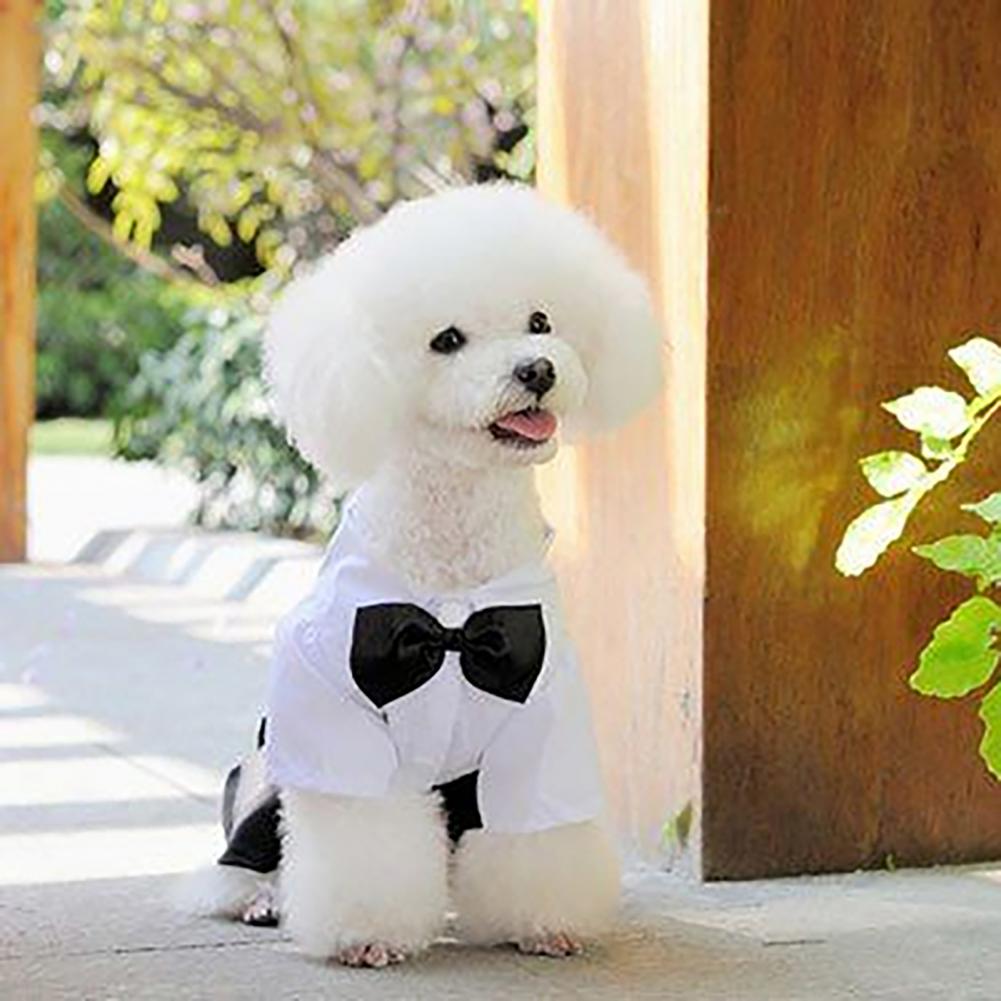 Summer Dog Clothing - Dog Bow Tie Suit Tuxedo Costume
