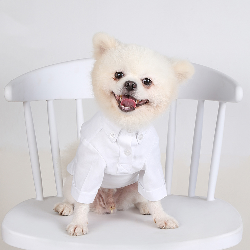 Spring and Autumn Pet Bottomin - đánh giá và giá Summer Dog Clothing