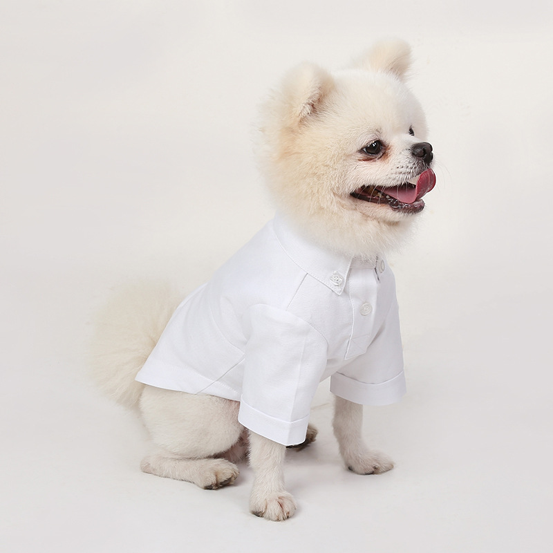 Spring and Autumn Pet Bottomin - đánh giá và giá Summer Dog Clothing