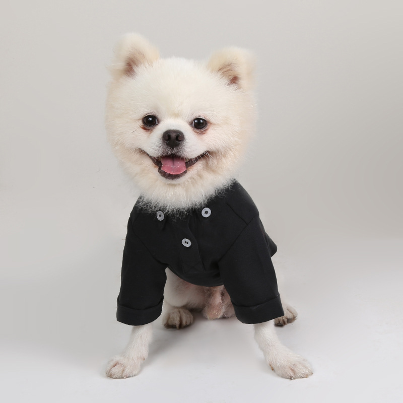 Spring and Autumn Pet Bottomin - đánh giá và giá Summer Dog Clothing