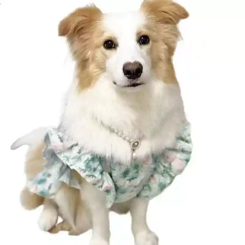 Pet Clothes Spring and Summer  - đánh giá và giá Summer Dog Clothing