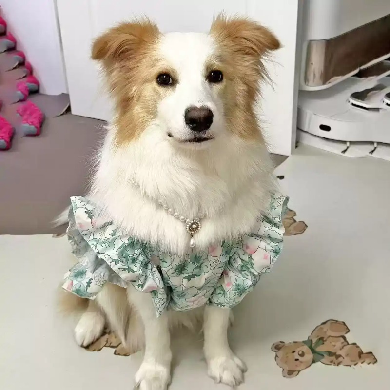 Pet Clothes Spring and Summer  - đánh giá và giá Summer Dog Clothing