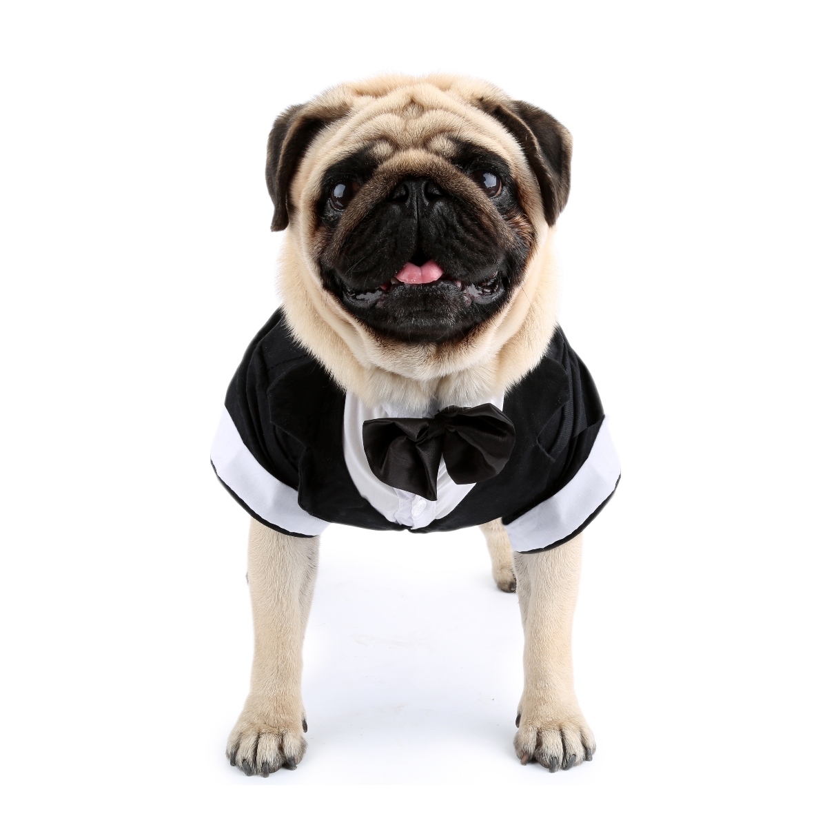 Dog Shirt Puppy Clothes, Pet W - đánh giá và giá Summer Dog Clothing