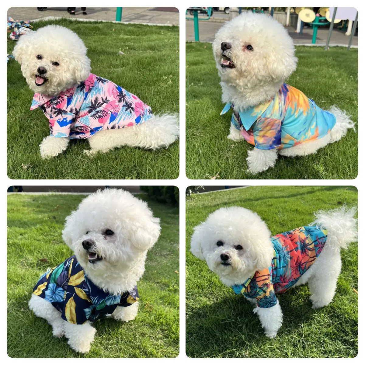 Hawaiian Shirt Pet Beach Wear  - đánh giá và giá Summer Dog Clothing