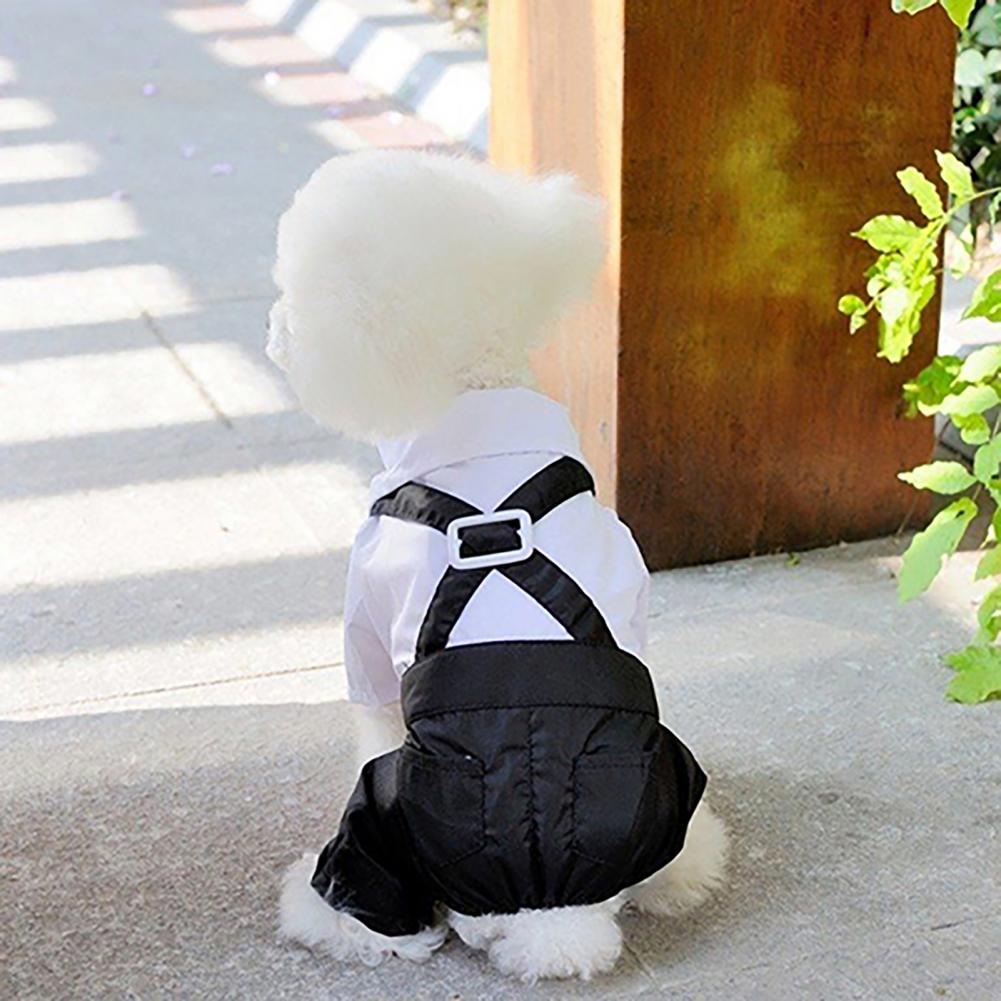 Dog Bow Tie Suit Tuxedo Costum - đánh giá và giá Summer Dog Clothing