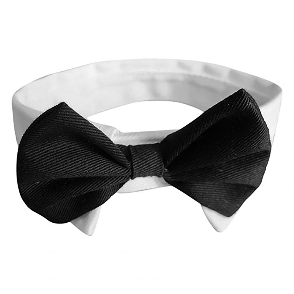 Dog Bow Tie Suit Tuxedo Costum - đánh giá và giá Summer Dog Clothing